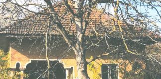 Un cămin cultural va deveni centru de zi pentru bătrânii din Cîlnic