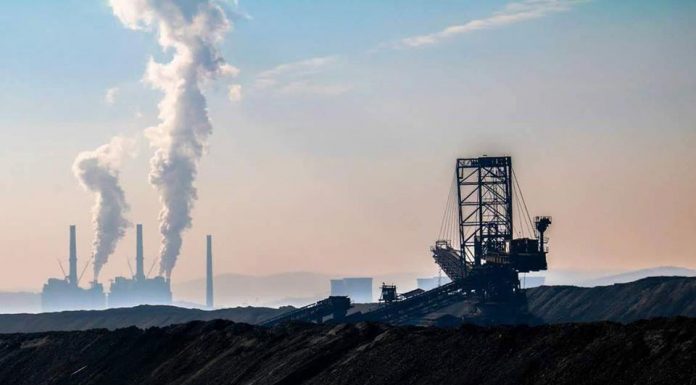 Cât plătește CEO pentru studiul privind elaborarea planului de restructurare și decarbonare