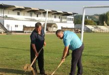 Provocare: Peste 100 de arbori ornamentali, plantați de voluntari în Motru