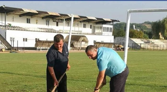 Provocare: Peste 100 de arbori ornamentali, plantați de voluntari în Motru