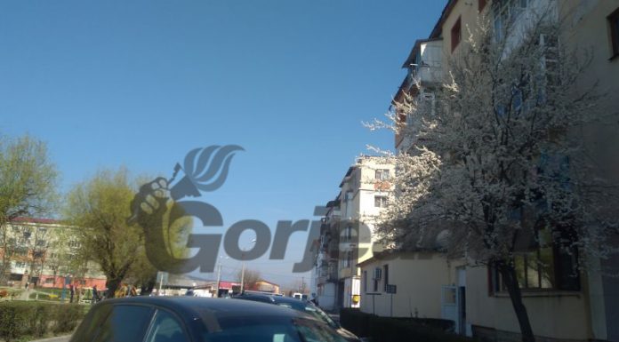 Târgujian reîntors din Italia, luat cu izoleta de la un bloc din zona Debarcader! A fost reclamat de vecini