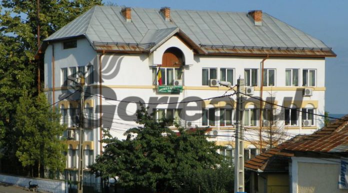 Profesioniști vs. habarniști II! Comisar cercetat penal, acuzat că trage sforile să ajungă șef la Garda de Mediu Gorj