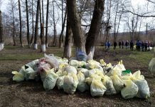 Râul Sohodol, plin de gunoaie