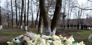 Râul Sohodol, plin de gunoaie