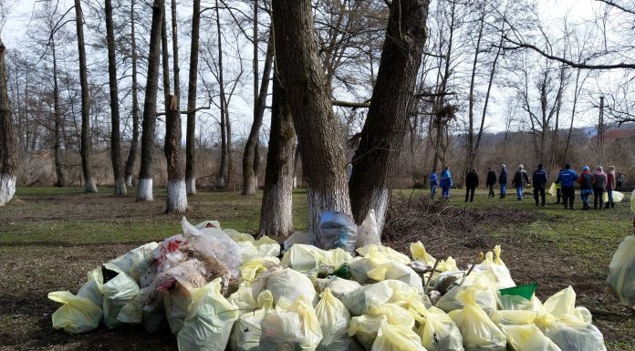 Râul Sohodol, plin de gunoaie