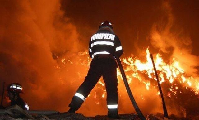 Incendiu de vegetație la Prigoria