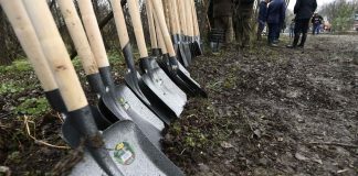 Ce sumă alocă Direcția Silvică Gorj pentru împăduriri