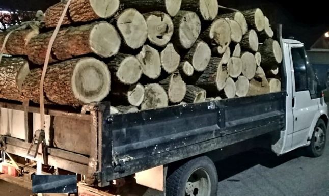 Cercetați pentru furt de lemne