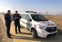Bilanţ lunar la Poliţia Locală Târgu-Jiu: Amenzi de peste 14.000 de lei!