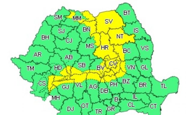 Cod galben de ninsori şi viscol