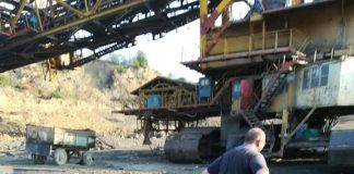 Legea pentru CEO intră la vot în procedură de urgență