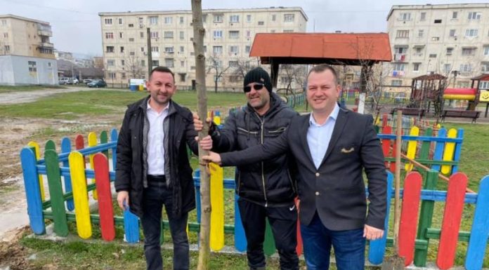 Sute de copaci, plantaţi la Rovinari! Amplă campanie, continuată de primarul Robert Filip