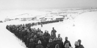 Veteranul de război plt. (rtr.) Bușe C. Gheorghe, tatăl meu, eroul meu – Episodul 16