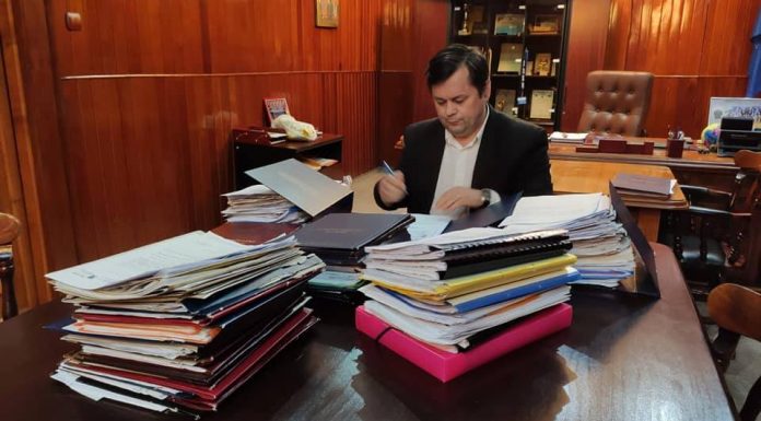 Candidatura lui Romanescu, validată. Se caută candidat pentru CJ Gorj