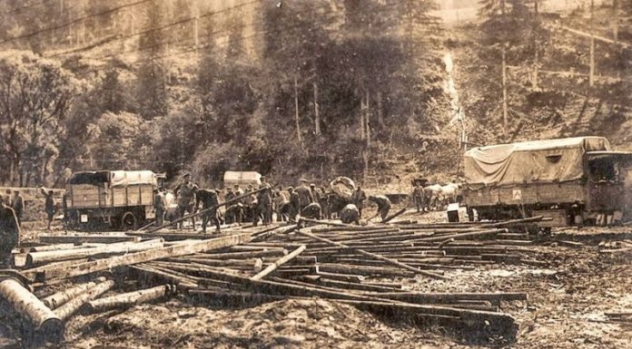 Veteranul de război plt. (rtr.) Bușe C. Gheorghe, tatăl meu, eroul meu – Episodul 15