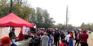 Audiențe suspendate la primării. Târgul din Motru, închis!