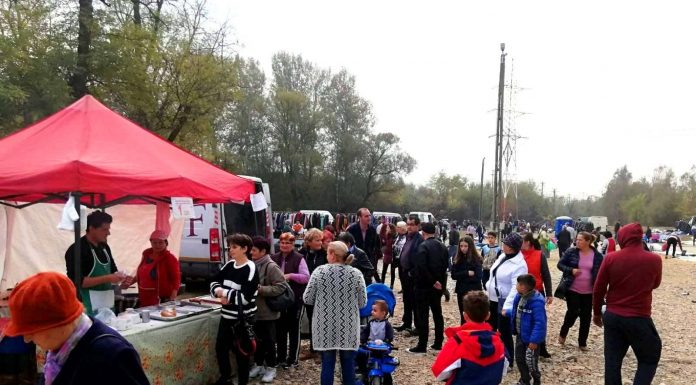 Audiențe suspendate la primării. Târgul din Motru, închis!