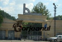 Bobaru: Ar trebui suspendată activitatea la UM Sadu