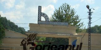 Bobaru: Ar trebui suspendată activitatea la UM Sadu