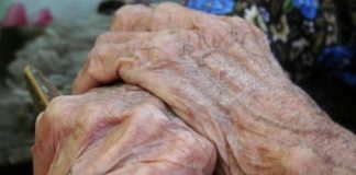 Urmărire prin pădure, cu câinii de urmă, pentru prinderea unui bărbat acuzat că a violat o bătrână