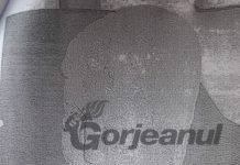 IPJ Gorj a început verificări în cazul capului de statuie de la Săcelu! Proprietarul, de frică, a dat înapoi