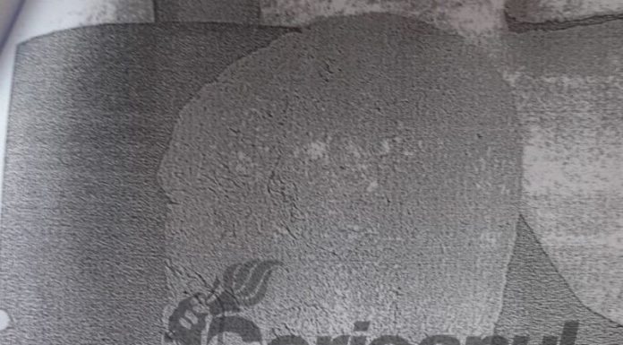 IPJ Gorj a început verificări în cazul capului de statuie de la Săcelu! Proprietarul, de frică, a dat înapoi