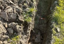 Muncitorul dat afară de la Asociația din Motru a sesizat ITM Gorj, arătând în ce condiții inumane era ținut peste program