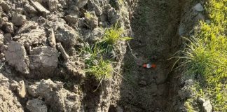 Muncitorul dat afară de la Asociația din Motru a sesizat ITM Gorj, arătând în ce condiții inumane era ținut peste program