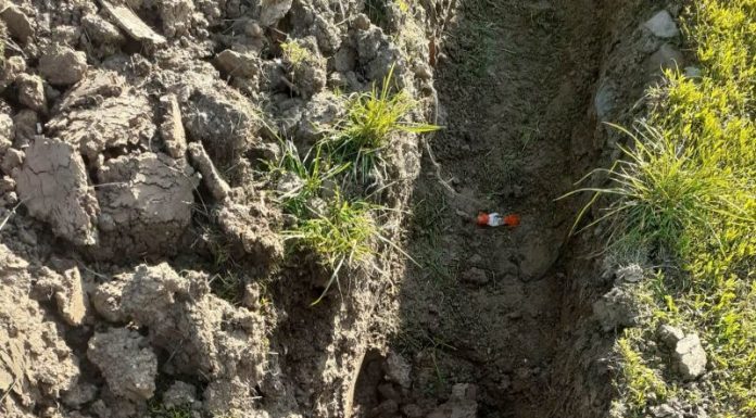 Muncitorul dat afară de la Asociația din Motru a sesizat ITM Gorj, arătând în ce condiții inumane era ținut peste program