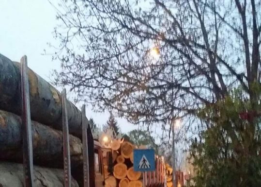 Transport masiv de lemn prin Târgu-Jiu! Azi, lângă unitatea militară