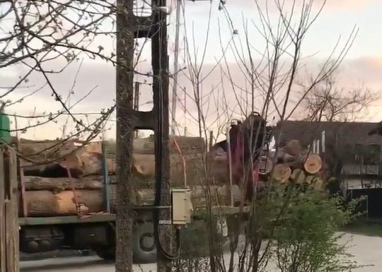 VIDEO: Pandemia a transformat drumurile Gorjului în rute nesupravegheate pentru cărăușii de lemne
