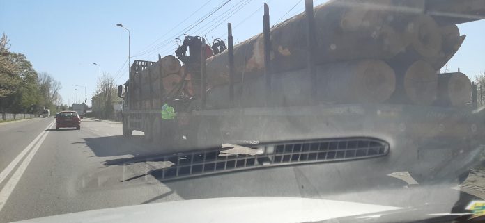 93429934_233905677971463_7426057510584320000_n