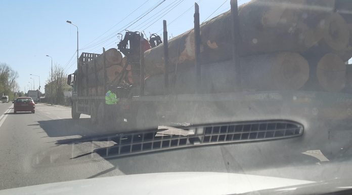Poliția s-a pus pe treabă la Târgu-Jiu, măcar îi întrebă ceva pe transportatorii de lemne