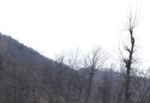 Asfalt ,,de casă”, pentru astuparea gropilor din Gureni!