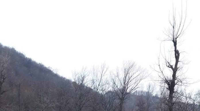 Asfalt ,,de casă”, pentru astuparea gropilor din Gureni!