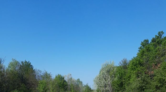 Mormane de haine, aruncate lângă Sadu II! Moloz din demolări, lângă Lacul Tetila