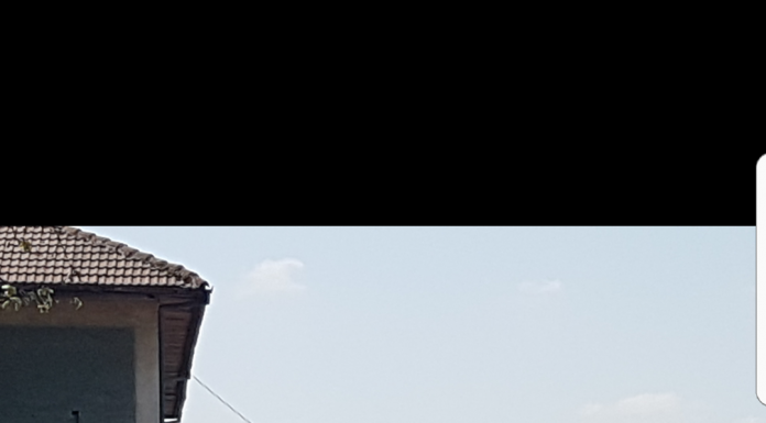 Deserventul de la Direcția Publică Motru are coronavirus