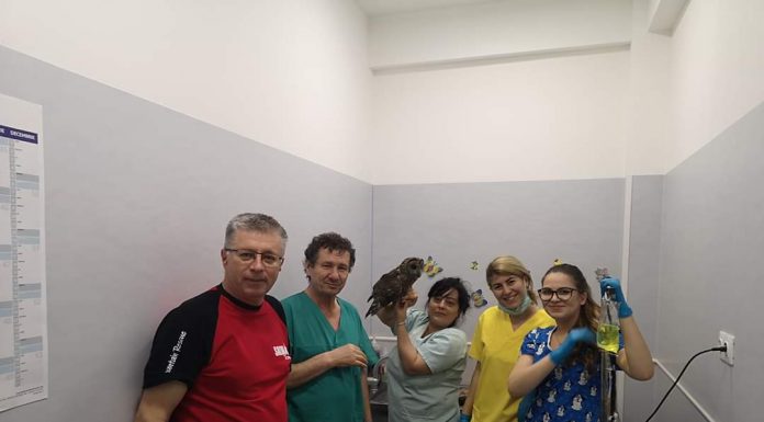 Galerie foto: Un nou „membru” în echipa Salvamont Gorj