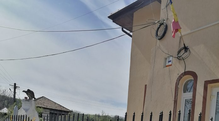 Dosar penal pentru abuz în serviciu, în cazul exploatării minorului de la Vladimir!