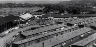 Veteranul de război plt. (rtr.) Bușe C. Gheorghe, tatăl meu, eroul meu – Episodul 17 – Prizonieratul 4