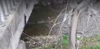 VIDEO: Bombă ecologică în râul Blahnița, demonstrată la Săcelu! Autoritățile nu au văzut rahatul rămas sub pod