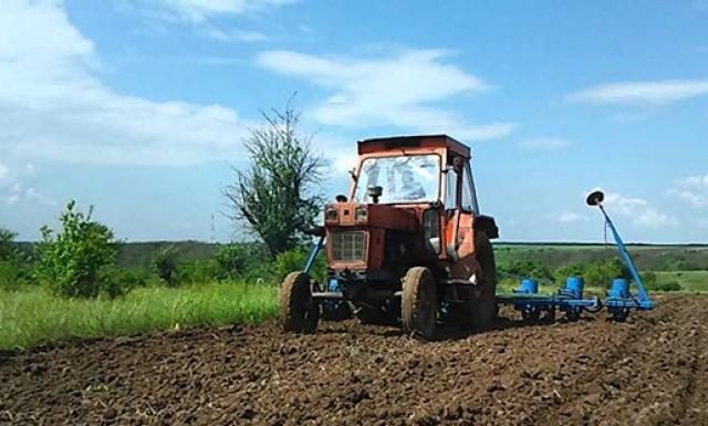 Agricultura pe înțelesul tuturor – Semănatul corect al porumbului