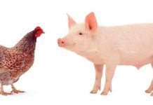 APIA a efectuat plăți pentru beneficiarii Măsurii 14 și Măsurii 215