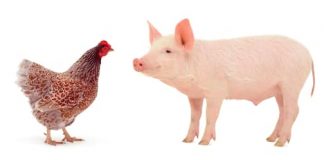 APIA a efectuat plăți pentru beneficiarii Măsurii 14 și Măsurii 215