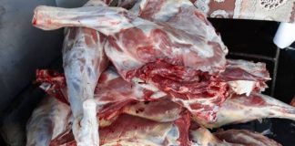 Peste 340 de kilograme de carne, reținute de inspectorii DSVSA