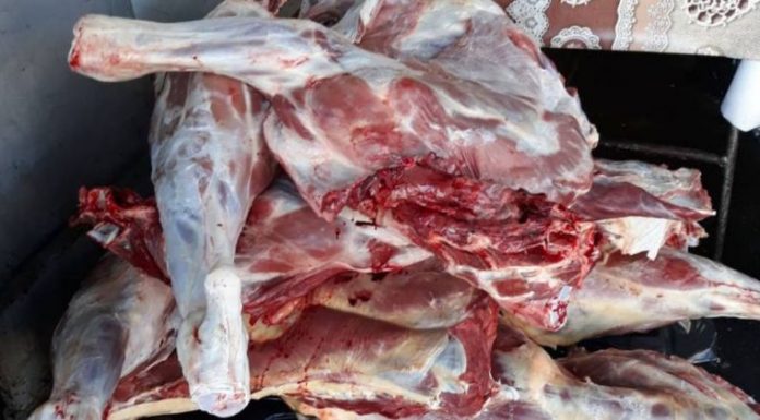 Peste 340 de kilograme de carne, reținute de inspectorii DSVSA
