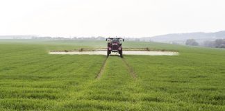 Agricultura pe înțelesul tuturor – Ierbicidarea cerealelor păioase în primăvară ploioasă