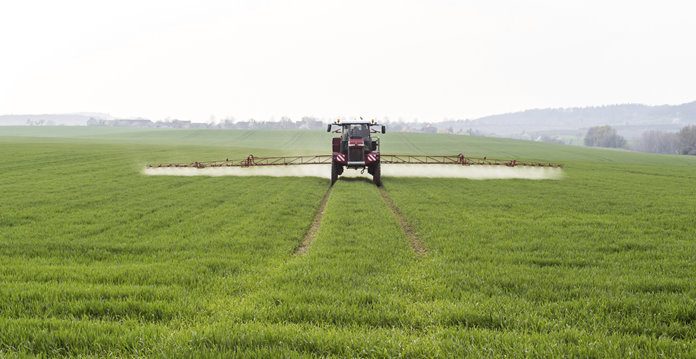 Agricultura pe înțelesul tuturor – Ierbicidarea cerealelor păioase în primăvară ploioasă