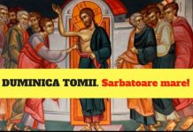 Lumina, şi Adevărul, şi Viaţa – HRISTOS A ÎNVIAT! ADEVĂRAT, A ÎNVIAT! – Dumnezeu Cel Înviat, ne cheamă să ne umplem de Lumina cerului şi să înţelegem pe deplin cuvintele Sale: „Fericiţi cei ce n-au văzut şi au crezut”!