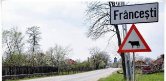 Internet gratuit în comuna lui Brâncuși